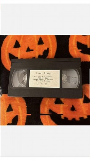 The Rare Barney VHS PBS Master #Barney #MotherGoose