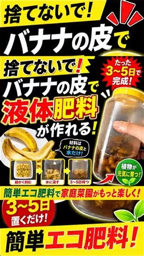 Don't throw them away! How to easily make liquid fertilizer from banana peels [Home gardening]