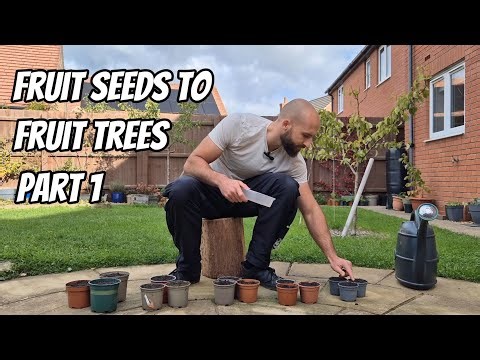 Which Fruit Seeds Will Just GROW? No CRAZY Method Needed!