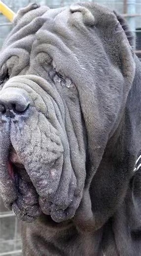 Confronting Bully Gultair: A Million Audition Journey