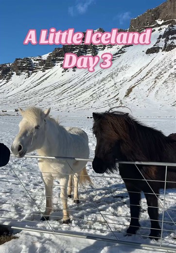 Iceland Travel Vlog: Day 3 Adventures