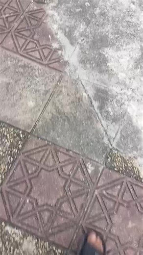 #foryou #foryoupage #trending #viralvideo #tiktok