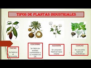 PLANTAS INDUSTRIALES mp4
