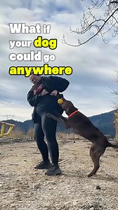 The best way to train your reactive dog is not to distract them, not to assert dominance, and definitely not punishing, correcting, or shouting at your dog. Reactive dog training methods based on distraction and redirection fail. Here’s why: Imagine luring your dog away with a cookie every time a person or dog comes too close… It’s not sustainable. Do you really want to distract your dog every single time you come across another person or dog? It won’t work every time. One day, you come across a