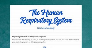 The Human Respiratory System