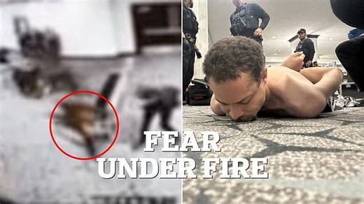 Moment gunman opens fire at White House Correspondences' Dinner