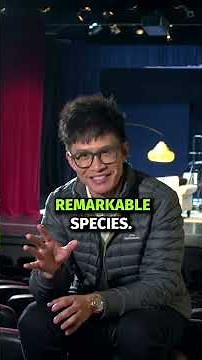 How to Express Yourself Better