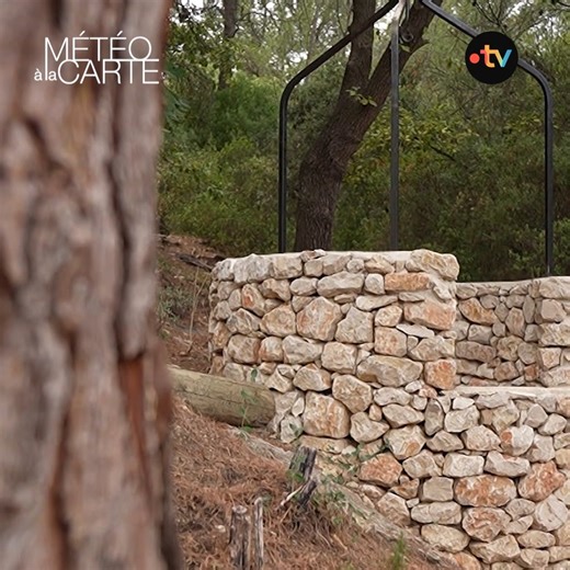 Avoir un puits peut remplacer l'eau courante ? Cap sur le sud, dans un décor digne d’un roman de Marcel Pagnol. Comme dans Jean de Florette ou Manon des sources, certains consacrent leur vie à la quête de l’eau : ce sont les puisatiers, qui restaurent encore aujourd’hui de vieux puits centenaires. #Météoàlacarte #culture #France #metier | Météo à la carte