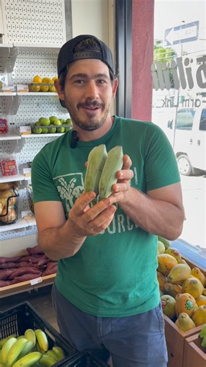Blue bananas and extinct bananas???! Gabe from Hawaiʻi Banana Source came down to Hōʻiliʻili Market to drop off some organic fresh bananas! 🍌 We have 5 different varieties in store including the blue ice cream banana and the special “extinct” Gros Michel banana 🫨 #banana | Farm Link Hawai‘i