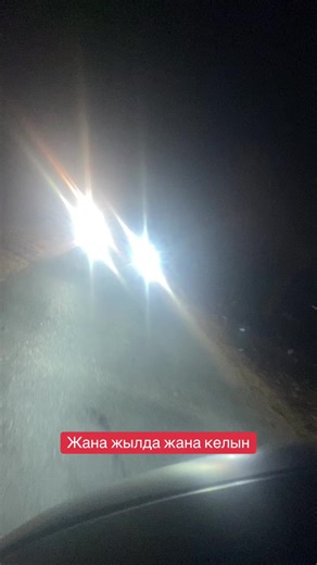 belyi_tigrenok (@belyi_tigir)’s videos with оригинальный звук - belyi_tigrenok