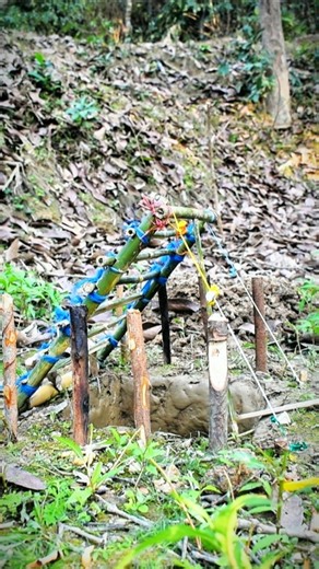 Primitive trap test in the jungle 🌿 #shorts #trap