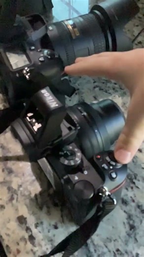Nikon D7100 and Z50 taking a delayed photo