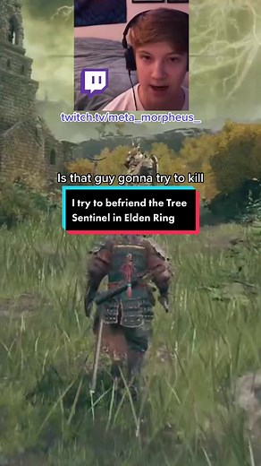 To everyone who asked for this: I hope I fulfilled your wishes. 😅 #metamorpheus #twitchstreamer #twitch #twitchclips #smallstreamer #twitchaffiliate #eldenring #fromsoftware #gameoftheyear #lgbtqstreamer #fyp #soulsbourne