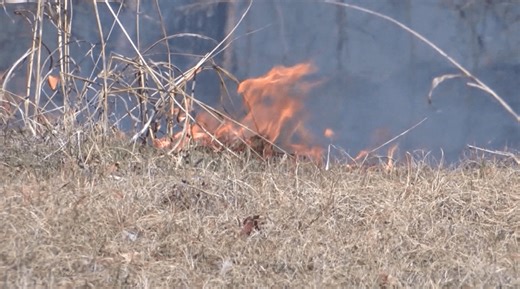 Henrico County issues temporary burn ban amid dry, windy conditions
