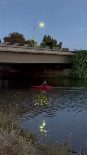 #kayaking #napavalley #napa #california #napariver #indigenous #nativeamerican #pomo #river