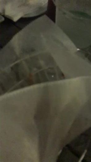 indian boss (@indianboss45)’s videos with original sound - indian boss