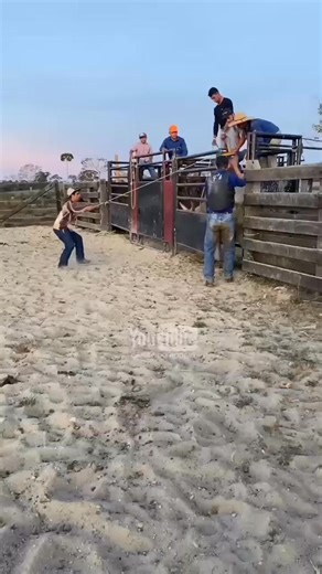 Narrowly there was no bad rodeo training | RODEO Channel