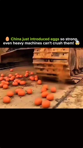 SCIENCE | FACTS | EXPALIN on Instagram: "• Scientists in China have developed eggs with extraordinary shell strength, engineered to resist extreme pressure. 🏋️‍♂️ • These eggs can withstand heavy weights and crushing machines, unlike regular eggs which crack easily. ⚡ • The innovation involves enhancing the calcium composition and microstructure of the shell for maximum durability. 🧬 • Such eggs could reduce breakage during transport, improving supply chain efficiency for farms and markets. 🚚