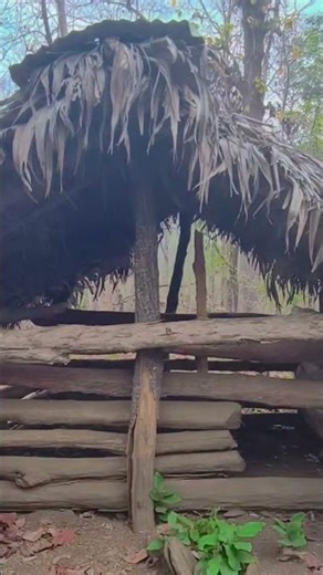 " Hidden place in the forest "❤️😍...#explore #forest #tending #jcb #reels #instagrm #neturalvideo .