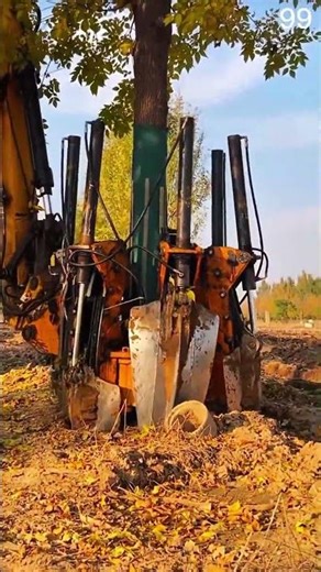Hand smoothing plaster repairing wall corner with steady strokes #shorts