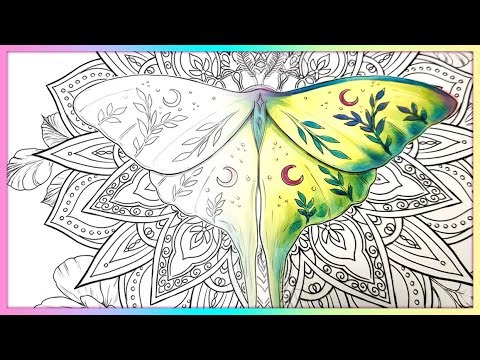 Luna moth COPIC MARKER Colouring Demo by Sakuems
