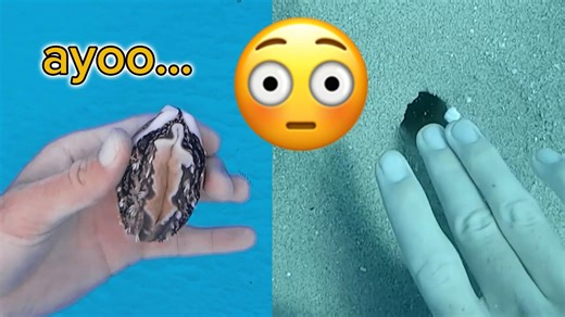 Family friendly ocean education video (nothing sus)