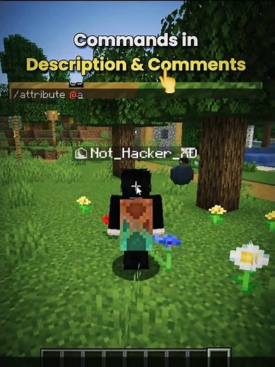 Minecraft Crazy Commands Moment 💀 Part 4