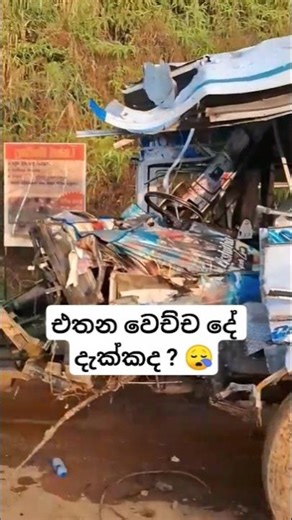 😒 බස් එක #travel #automobile #tour #trip #bus #busrace #music #trending #driving #shortsfeed #shorts