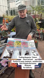 #add WEB-SHOP https://pergolanurseries.com Trailing Begonia Tubers Have arrived Perfect in pots ,baskets , window box. .Non stop flowers from May until October. See full range in our website/webshop Available in WEBSHOP https://pergolanurseries.ecwid.com . ALL IRELAND DELIVERY 🚚 32 Counties Pergola Nurseries Garden Corner, Virginia, Co Cavan “A gardeners oasis of quality plants “ Open Tuesday to Saturday 10.3-5 Open Sundays 2-5 #fyp #garden #gardening #flowers | Pergola Nurseries Garden Corner
