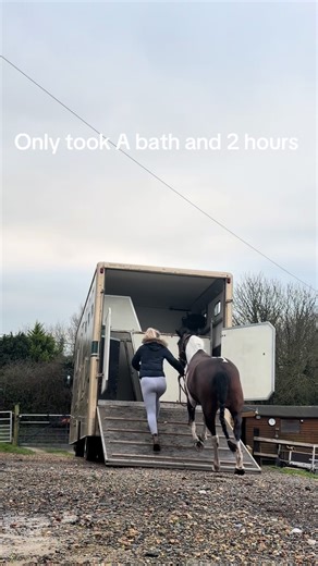 Tips for Overcoming Loading Issues with Horses