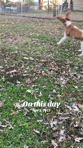 On This Day: Celebrating November 1st Moments