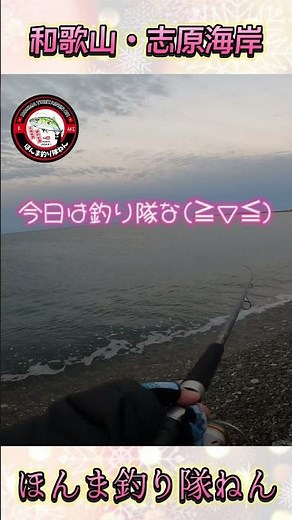 【青物&アオリイカ調査】和歌山南紀・志原海岸・田辺・マリーナシティ #fishing#和歌山釣り #エギング#青物#南紀白浜#ブリ #のませ釣り #サーフ釣り#ヒラメ#マゴチ#釣り#ショアジギ
