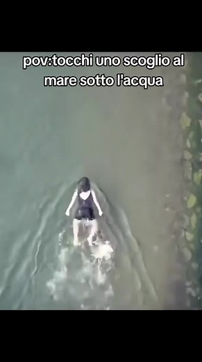 Scoglio sotto l'acqua: cosa succede se lo tocchi al mare