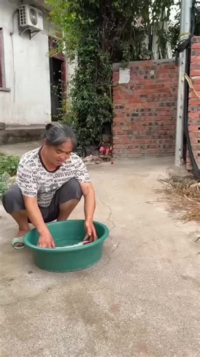 犬の面白動画: ファン1000万の犬の瞬間