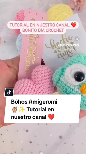 Tutorial Búhos Amigurumi paso a paso en Bonito Día Crochet