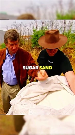 Every Movie Lied To You About Quicksand — MythBusters Tested It! #shorts