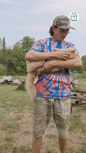 Justin encontró a este gatito en el terreno que compró, le dio todos los cuidados que necesitaba y cambió su vida para siempre. 💕🐱 | Sra Bigotes