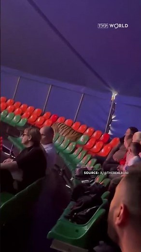 Tiger escapes into circus crowd