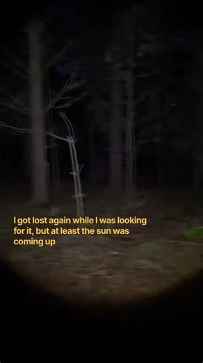 The last time I saw it was near this spot in the #forest