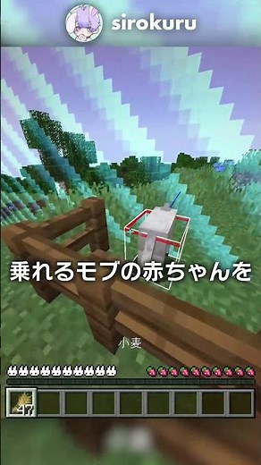 マイクラ世界の外側に行ける裏技？！【マイクラ豆知識 解説 裏技】