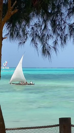Welcome to Reef & Beach Resort! A beautiful resort located at the Indian Ocean in Zanzibar. At our resort, you can spot several monkeys. Relax on one of our hammocks at Reef & Beach Resort, on a carefree holiday with Beach & Safari Holiday! Book your sun holiday now via the link in our bio! 🤍✨🐚🌴🐠🐬 #zanzibar #paradise #holiday #africa #travel #traveltiktok #zanibardestination #tropicalisland #island #reefandbeachresort | Hotel Zanzibar