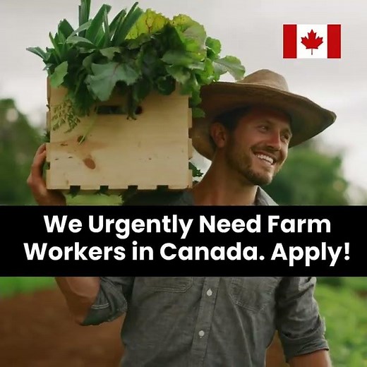 Hiring Farm Worker Jobs in Canada