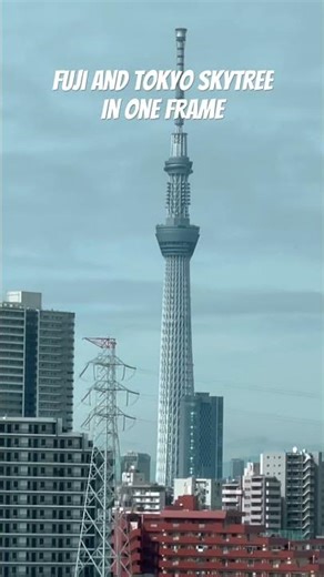 Fuji mountain and Tokyo skytree