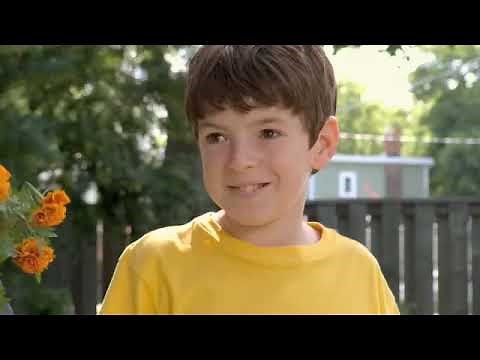 Dino Dan S01EP6 Dino Trap Big Bad Spinosaurus