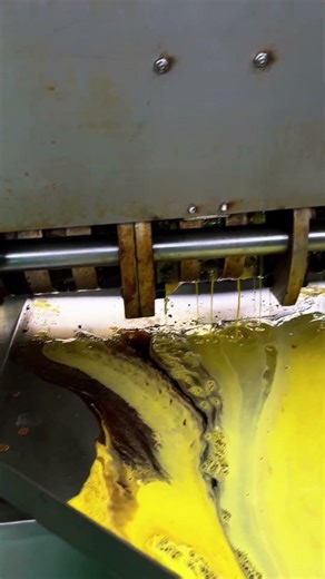 Screw oil press machine to press mustard seeds oil for customer #oilpressmachine #oilpress #factory