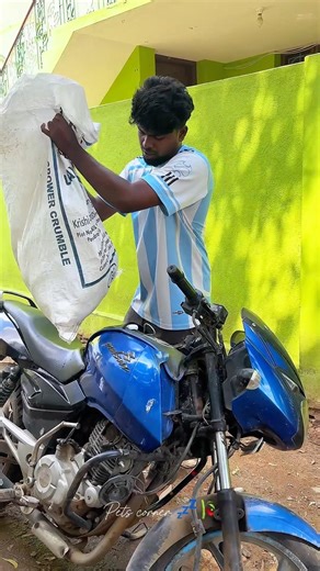 Betta konjam irrutha ellam death agirukum ⁉️😱📈#petscorner #petshorts #bettafish #pets #tirunelveli