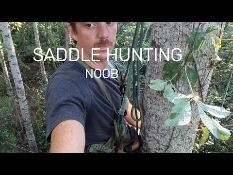 How long does it take a new saddle hunter to set up for hunting? (timed saddle hunting setup)