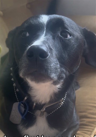 Milk Maid (@milk_maid_)’s videos with original sound - Milk Maid