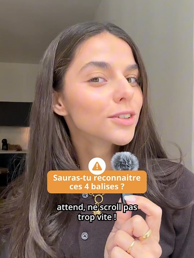 Les 4 balises essentielles pour le code de la route