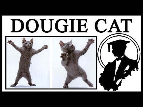 Origins Of The Grey Dancing Cat